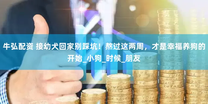 牛弘配资 接幼犬回家别踩坑！熬过这两周，才是幸福养狗的开始_小狗_时候_朋友