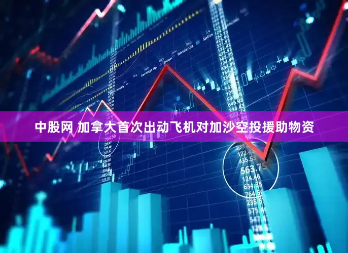 中股网 加拿大首次出动飞机对加沙空投援助物资