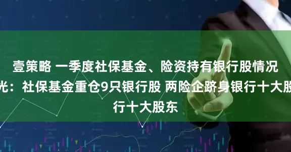 壹策略 一季度社保基金、险资持有银行股情况曝光：社保基金重仓9只银行股 两险企跻身银行十大股东